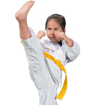 Adult Martial Arts Taekwondo tournament